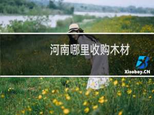河南哪里收购木材
