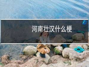 河南壮汉什么梗