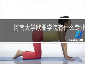 河南大学欧亚学院有什么专业