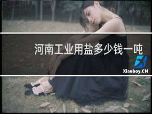 河南工业用盐多少钱一吨