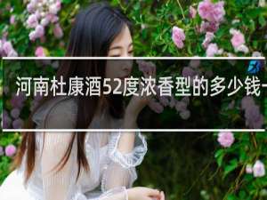 河南杜康酒52度浓香型的多少钱一瓶