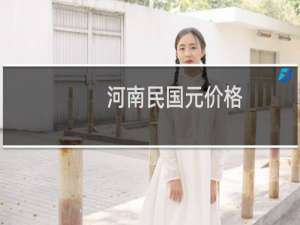 河南民国元价格