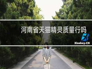 河南省天猫精灵质量行吗