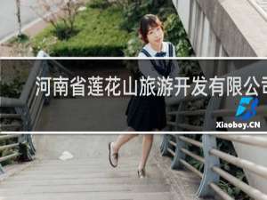 河南省莲花山旅游开发有限公司