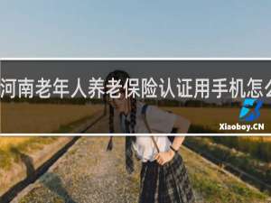 河南老年人养老保险认证用手机怎么认证