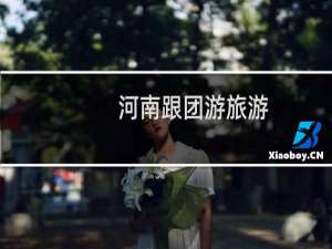 河南跟团游旅游