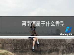 河南酒属于什么香型