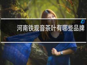 河南铁观音茶叶有哪些品牌