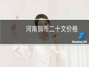河南铜币二十文价格