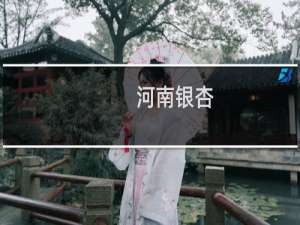河南银杏