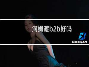 河姆渡b2b好吗
