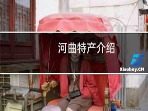 河曲特产介绍（忻州市河曲特产大全）