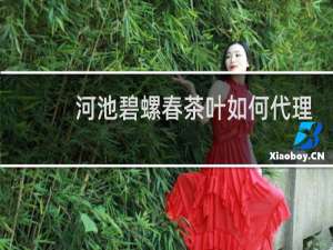 河池碧螺春茶叶如何代理