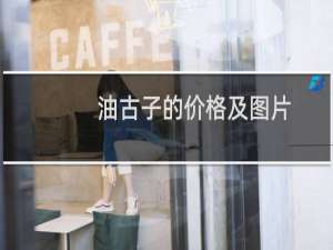 油古子的价格及图片