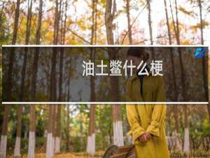 油土鳖什么梗