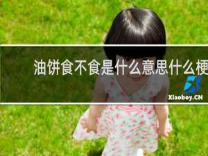 油饼食不食是什么意思什么梗