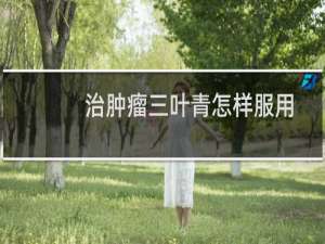 治肿瘤三叶青怎样服用