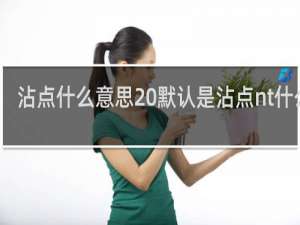 沾点什么意思 默认是沾点nt什么梗