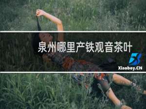 泉州哪里产铁观音茶叶