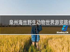 泉州海丝野生动物世界游览路线