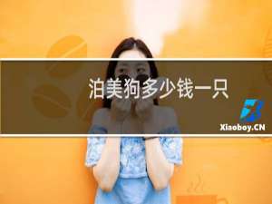泊美狗多少钱一只