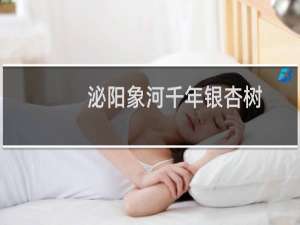 泌阳象河千年银杏树