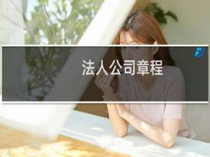 法人公司章程