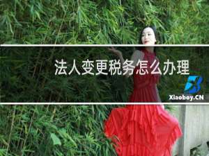 法人变更税务怎么办理