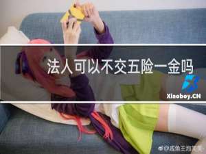 法人可以不交五险一金吗