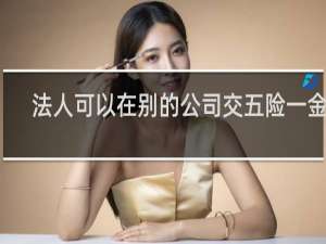 法人可以在别的公司交五险一金吗