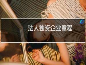 法人独资企业章程