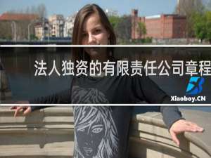 法人独资的有限责任公司章程