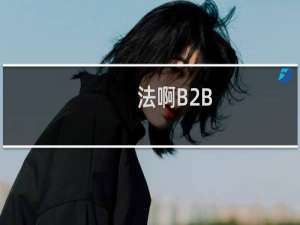 法啊B2B