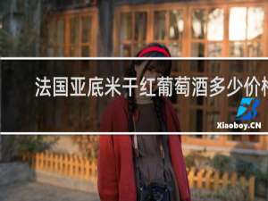 法国亚底米干红葡萄酒多少价格