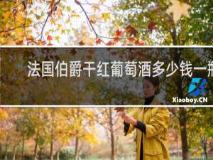 法国伯爵干红葡萄酒多少钱一瓶