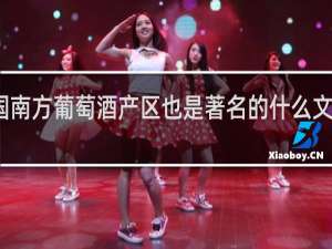 法国南方葡萄酒产区也是著名的什么文化遗产地