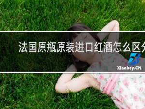 法国原瓶原装进口红酒怎么区分