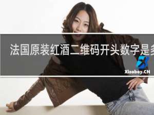 法国原装红酒二维码开头数字是多少