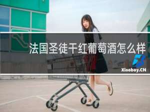 法国圣徒干红葡萄酒怎么样