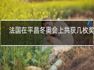 法国在平昌冬奥会上共获几枚奖牌
