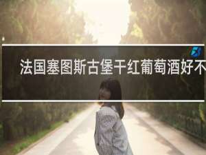 法国塞图斯古堡干红葡萄酒好不好