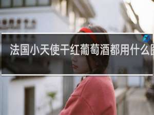 法国小天使干红葡萄酒都用什么图案
