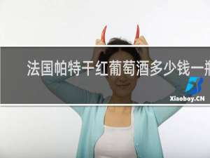 法国帕特干红葡萄酒多少钱一瓶