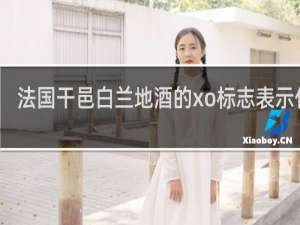 法国干邑白兰地酒的xo标志表示什么