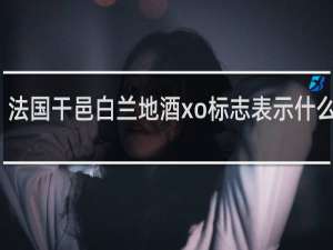 法国干邑白兰地酒xo标志表示什么意思