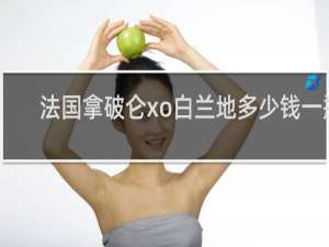 法国拿破仑xo白兰地多少钱一瓶