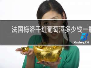 法国梅洛干红葡萄酒多少钱一瓶