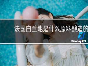 法国白兰地是什么原料酿造的