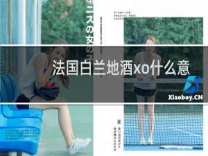 法国白兰地酒xo什么意思