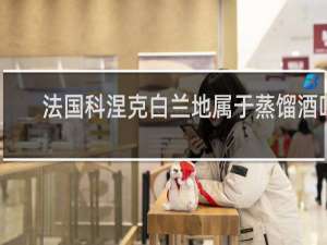 法国科涅克白兰地属于蒸馏酒吗